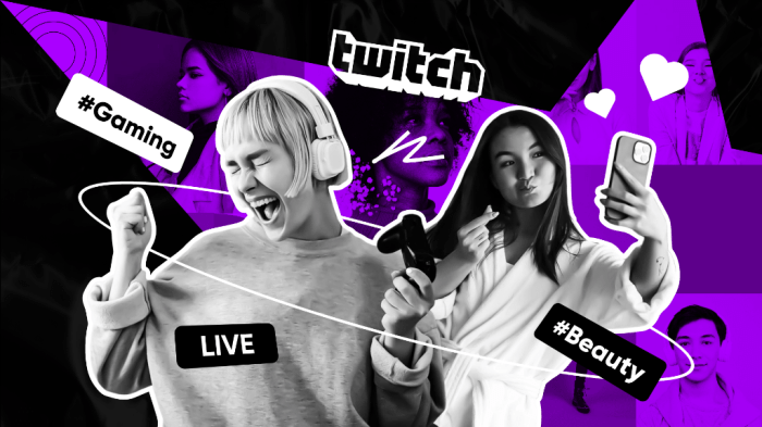 Understanding the different types of streamers on Twitch Jenis Konten yang Paling Sering Ditayangkan Streamer