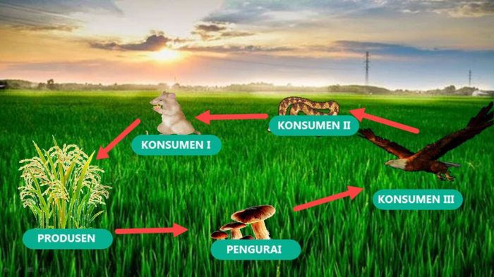 Sistem Ekosistem Gadget Antar Brand: Apa Keuntungannya?