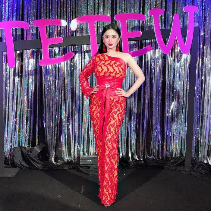 Selebriti Tanah Air yang Menjadi Influencer Sukses