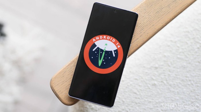 Fitur Android 14 dan Cara Menggunakannya