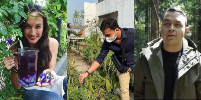 Selebriti Tanah Air yang Menjadi Influencer Sukses