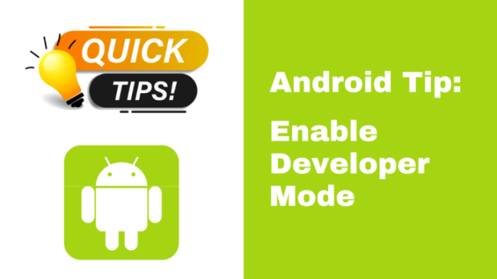 Gunakan Mode Developer untuk Maksimalkan Gadget Android