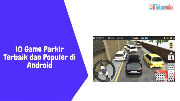 Game Jadi Tukang Parkir Mall, Anti Gagal!